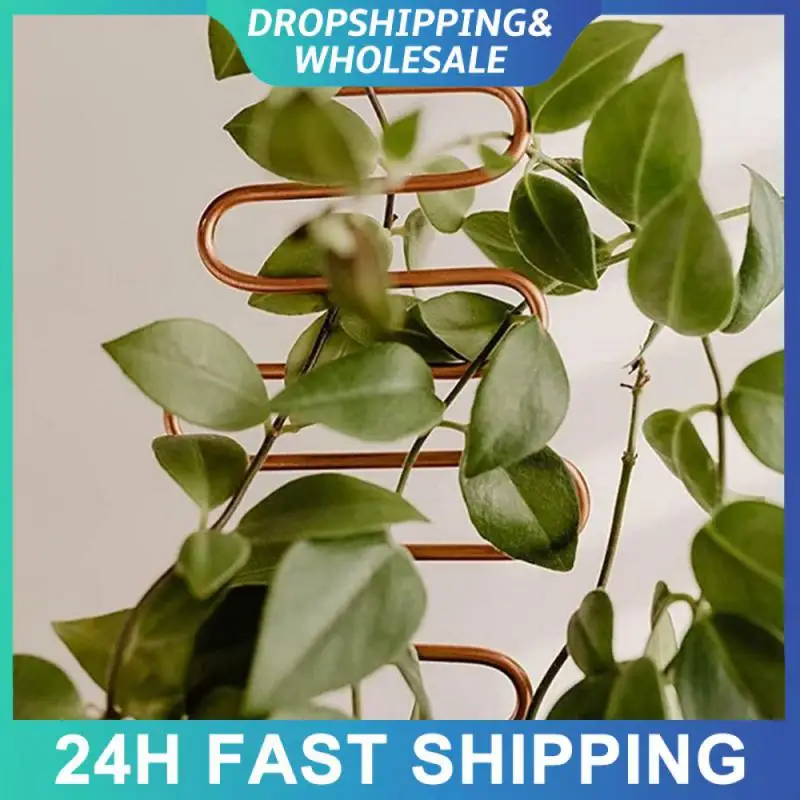 Iron Household Garden Plant Climbing Support Frame Non Scratch Plant Climbing Frame Geometric Climbing Frame 10 * 34cm Geometry