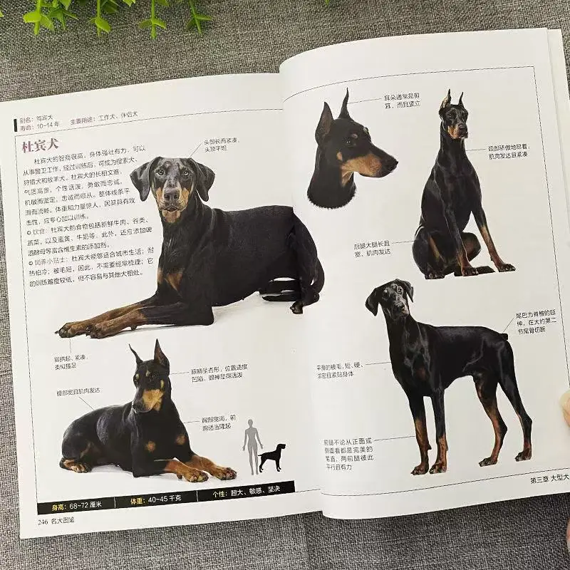 Guide to Famous Dogs, Pet Dog Feeding Knowledge, Dietary Care, Pet Dog Characteristics and Habits Complete Collection of Books