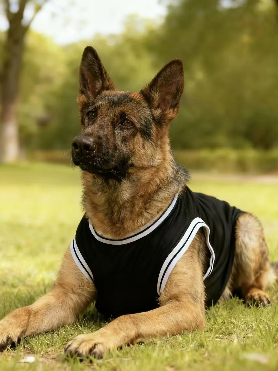 Sommerliches, leichtes, atmungsaktives Hundesport-Tanktop, Stil 23, für mittelgroße und große Rassen, Dobermann, Golden Retriever, Deutscher Schäferhund – Detail 5
