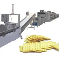 Crispy Dough Cutting Machine From China Milk Biscuit Cream Biscuit Dough Forming Machine Craker Biscuit Tunnel Oven