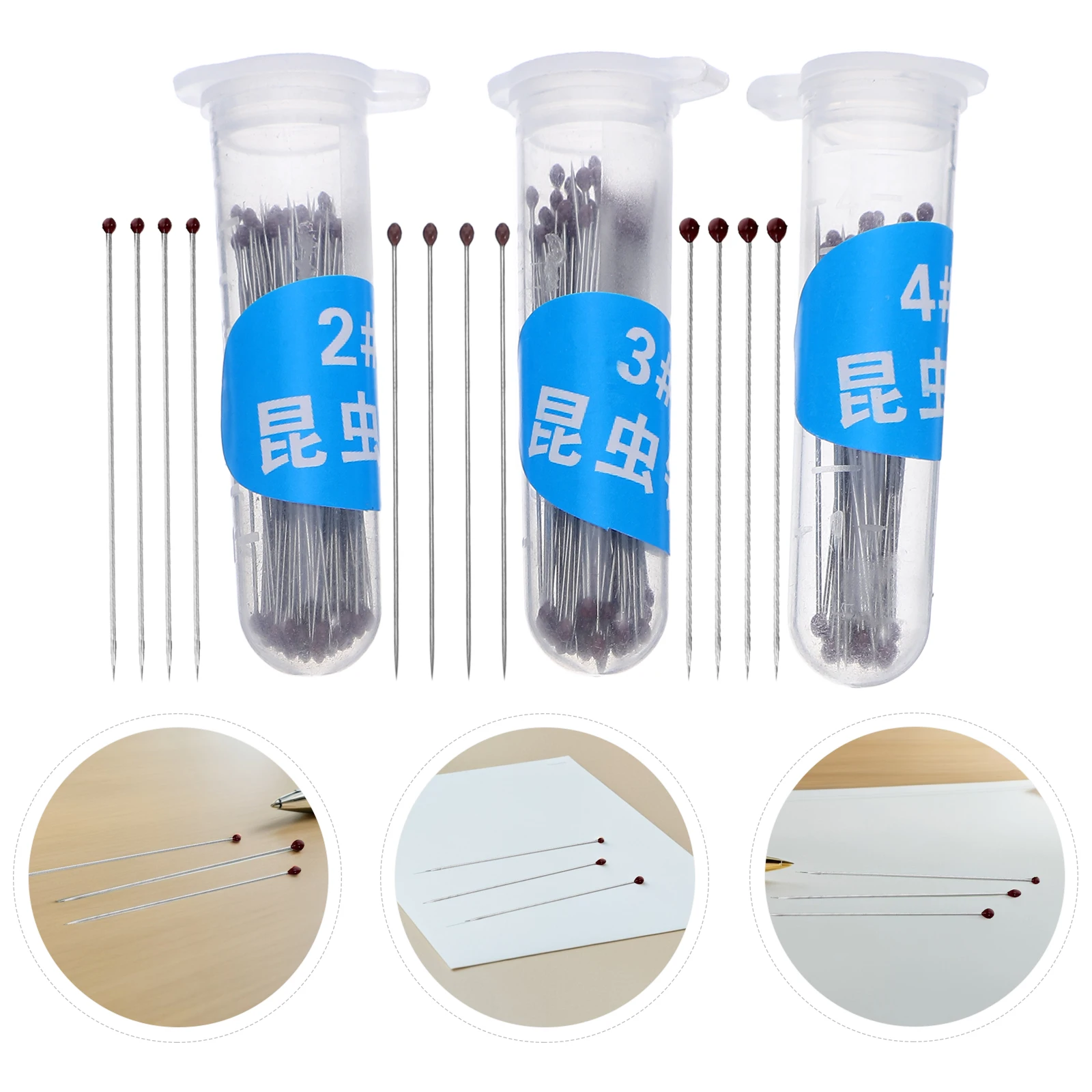 

300 Pcs Insect Specimen Needle Butterfly Entomology Pin Metal Mounting and Display Silver Fixing Supplies