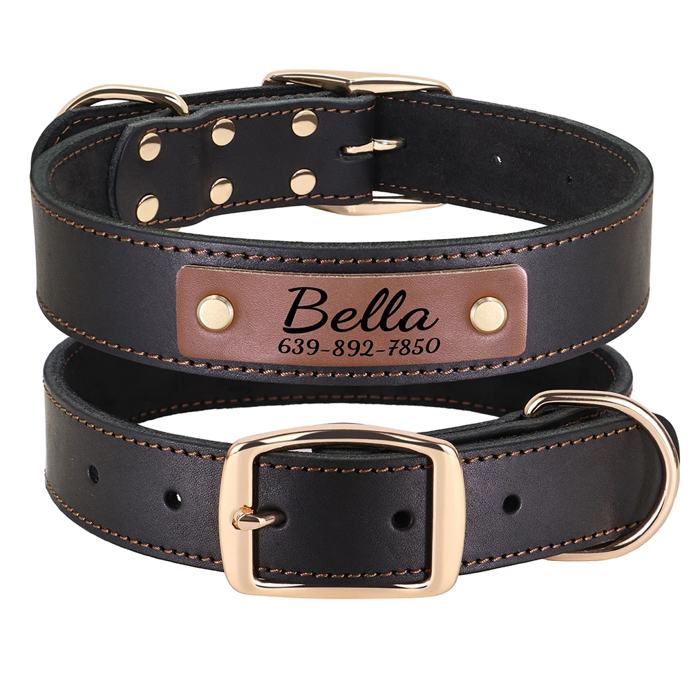 Coleira de couro personalizada para cães, coleira de couro genuíno para animais de estimação, para cães médios e grandes, impressão gratuita, nome do animal de estimação, telefone