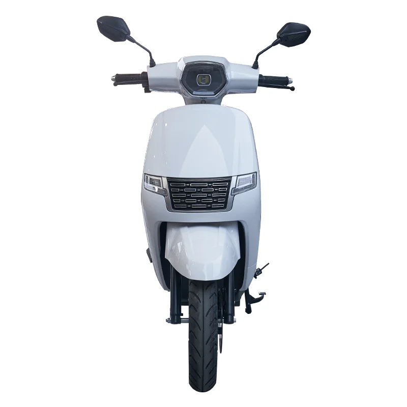 

yzhgb SKD 12-inch Electric Motorcycle | 1100W/1300W 65km/h Fast Electric Motorcycle with Removable Battery Factory Direct Adu