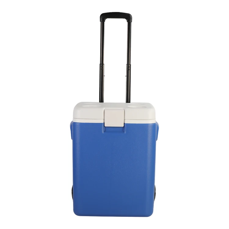 미니 냉동고 냉장고 12V 220V AC DC 쿨러 박스 미니 침실용 휴대용 냉장고 차량용 냉장고