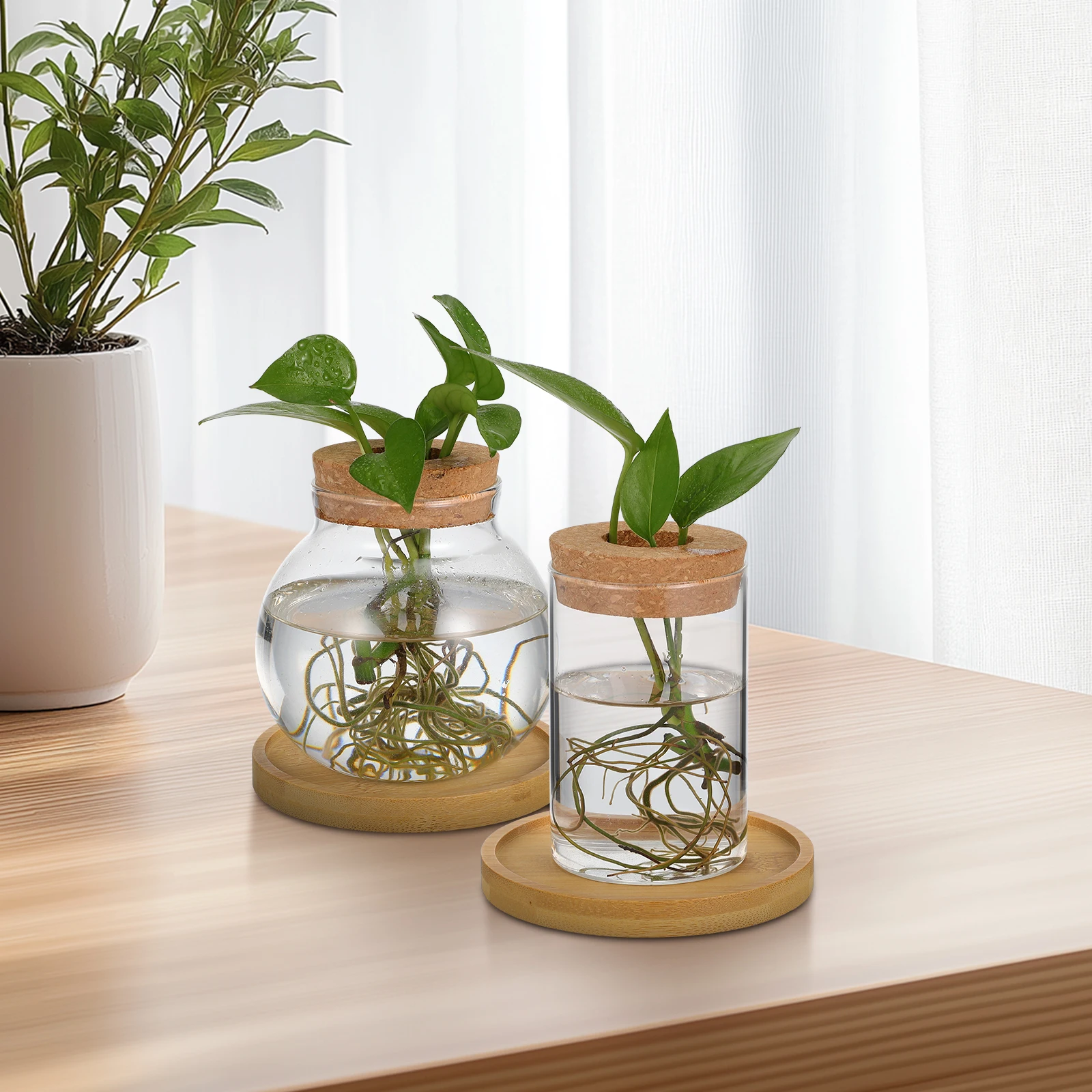 

2 pcs Vase Hydroponic Planter Minimalist Design High Transparency For Indoor Plants Desktop Propagation Station Wood Vases Clear