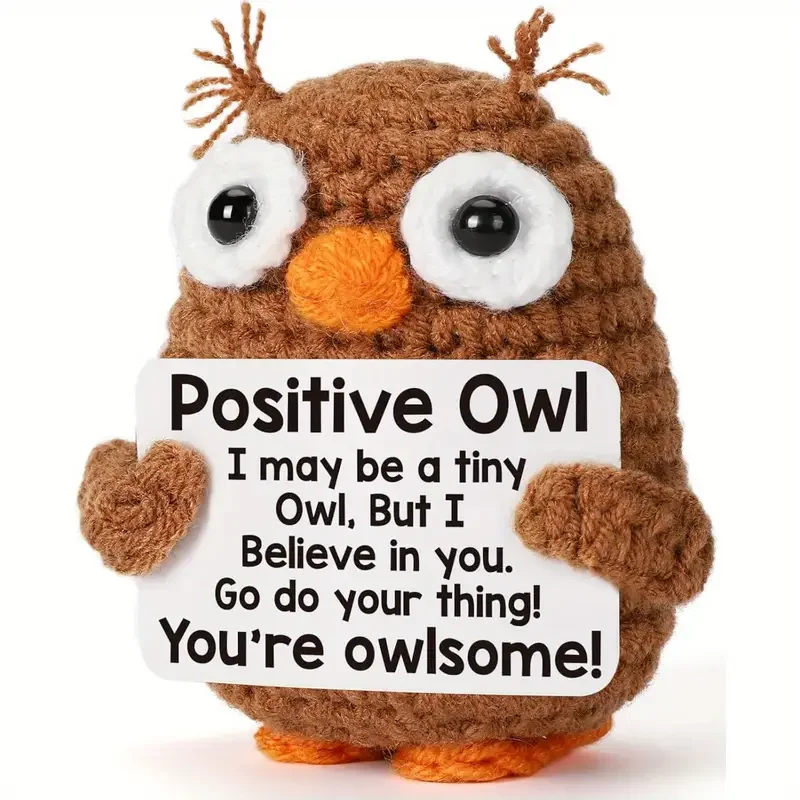 Cute Crochet Owl Doll, 1 Count Creative Knitted Decor with Positive Message Card Valentine's Day Gift