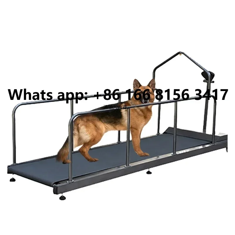 

Dog Treadmill Large Dog Resistance Treadmill Treadmill For Pets