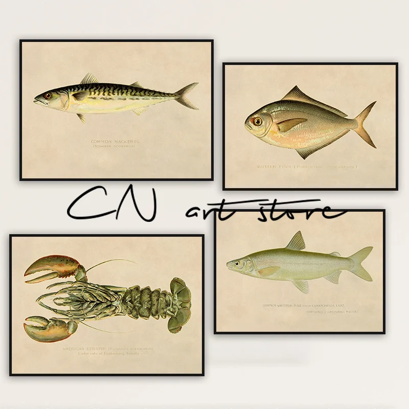 Vintage Style Fish Illustrations Creek Chub, Silverside, Brook Trout Art Posters Canvas Painting Wall Prints Pictures Home Decor