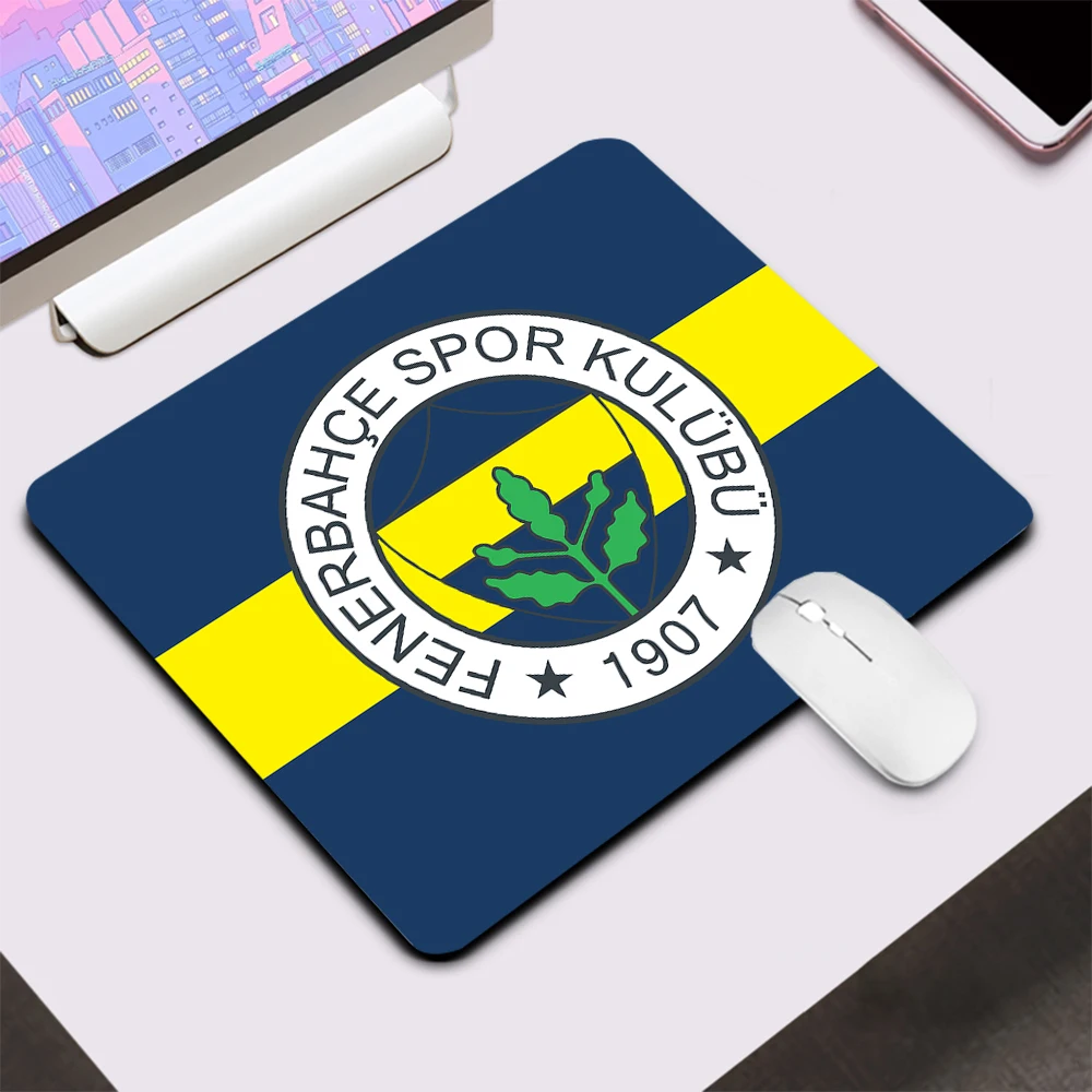 Turkey Fenerbahce S… - image