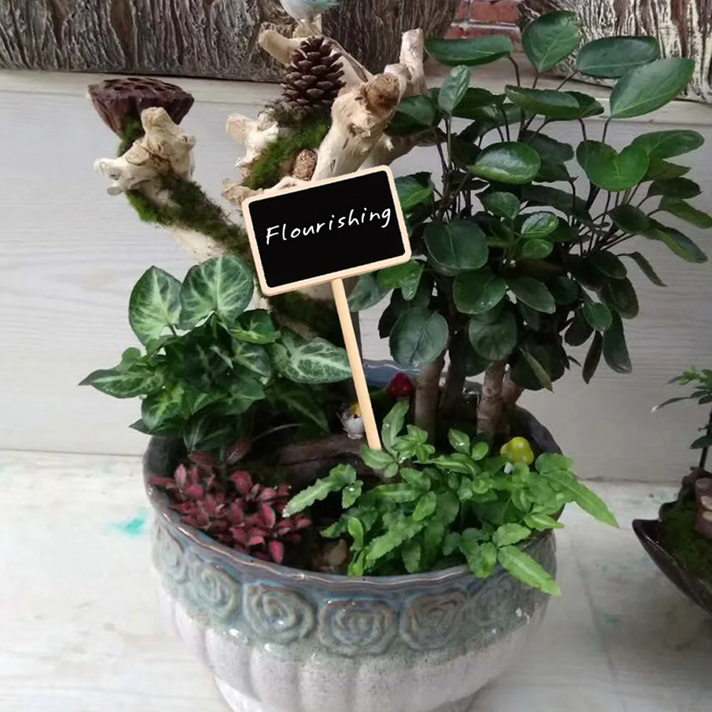 

20 Pcs Plant Labels Small Blackboard Garden Tags Durable Wooden Bamboo Stakes for Plants Herb Signs Pot Plates