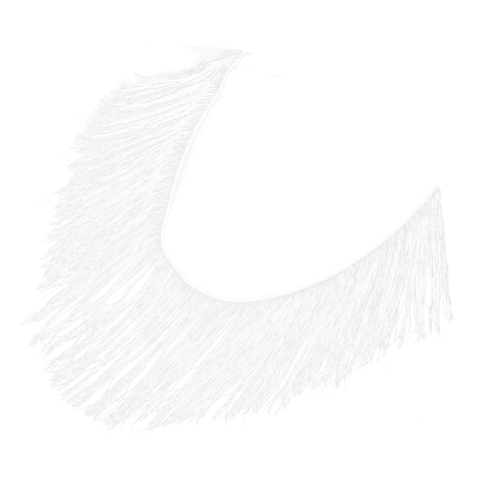 

Tassels Dance Costume Accessories Wear Ribbon Fringe Latin Dress White for Clothes Decorative