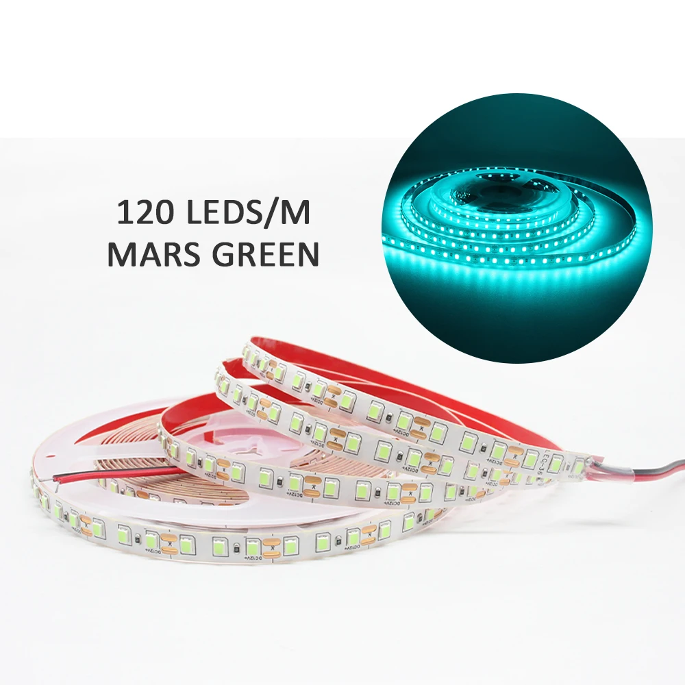 12V LED Strip SMD 2835 1M 2M 3M 4M 5M LED Streep Tape Licht 120LED/M 240LED/M Warm Wit Flexibele Strip Lint Home Decor Licht