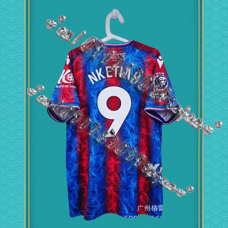 

2025 best-selling new Crystal Palace football jersey for men and women, quick-drying and breathable training sports T-shirt.