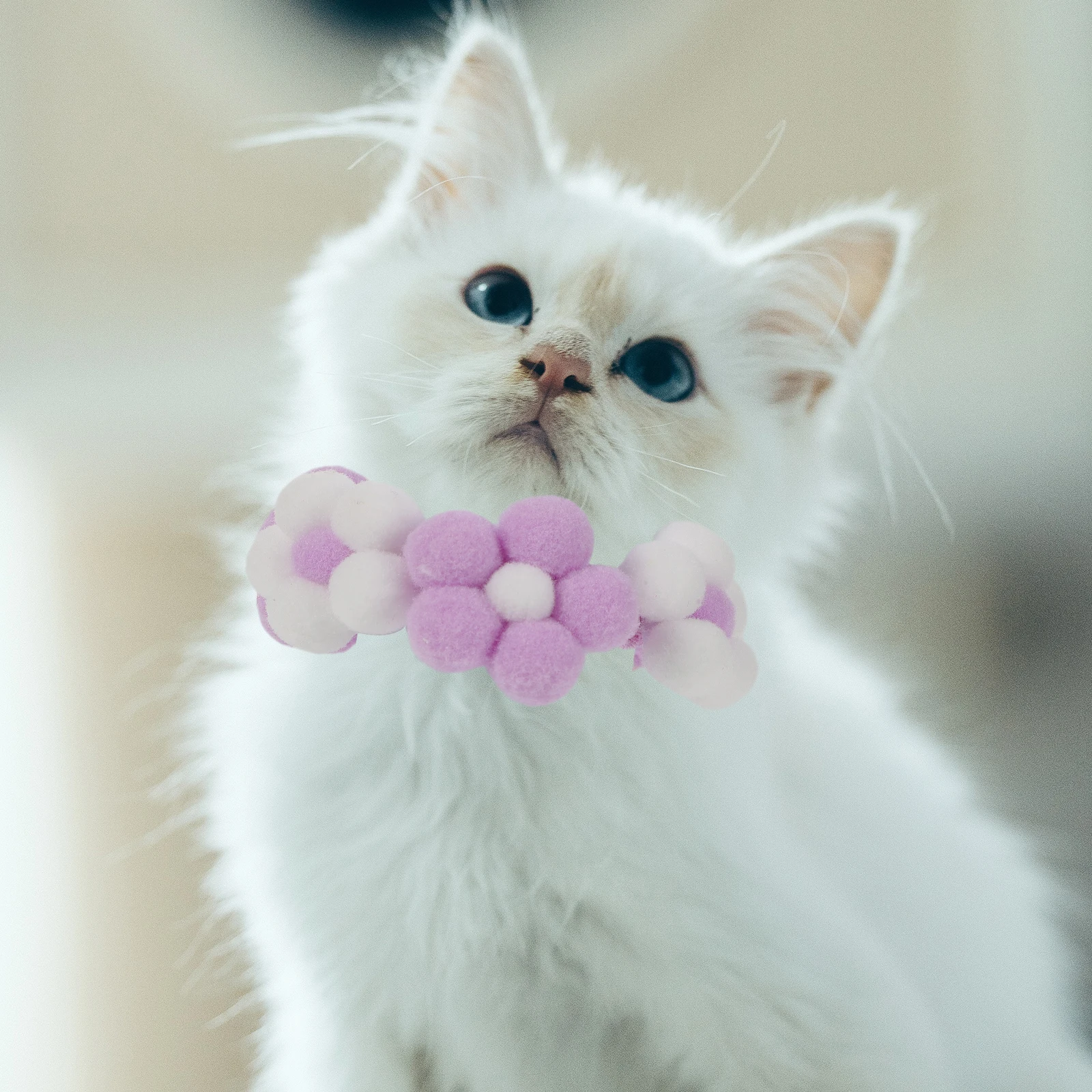 

Pet Collar Cat Collars Dog Decoration Puppy Knitted Flower Accessory Accessories