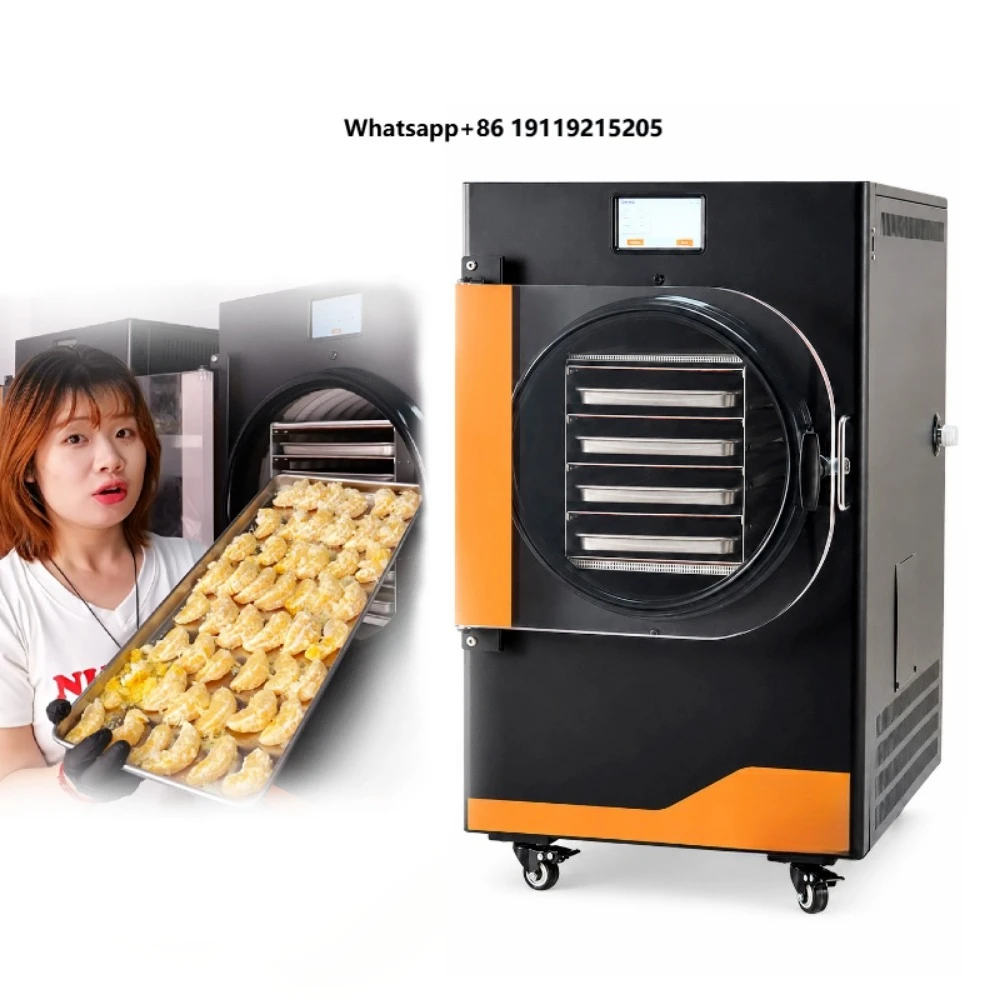 Freeze Dryer Machine 4kg Home Commercial Vacuum Food Lyophilizer for Fruit Vegetable Processing Plant