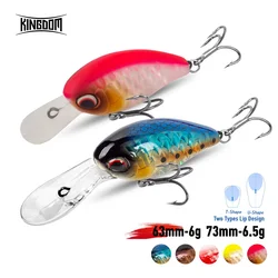 KINGDOM – leurre méné rigide flottant Crankbait, appât artificiel idéal pour la pêche à la truite, au bar, à la perche ou au brochet, 6/6.5g