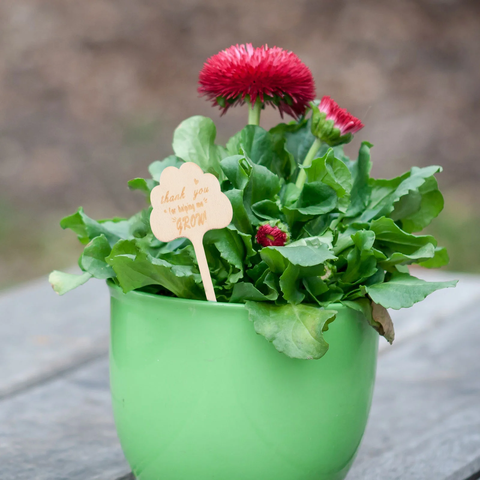 

25Pcs Writable Bamboo Plant Stakes Garden Label Tags for Herbs Succulents Flowers Wood Plant Id Markers for Garden