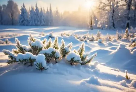 

FlyColor 30A 50A 70A 90A 120A Водонепроницаемый бесщеточный регулятор скорости (ESC) для радиоуправляемых лодок 2-6S Lipo с программной картой для моторов радиоуправляемых лодок