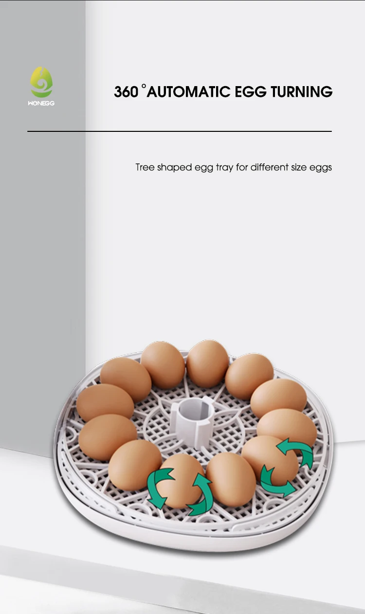 Household Small Chicken, Duck, Goose Egg Incubator Automatically Add Water Intelligent Temperature Control 12 Incubators