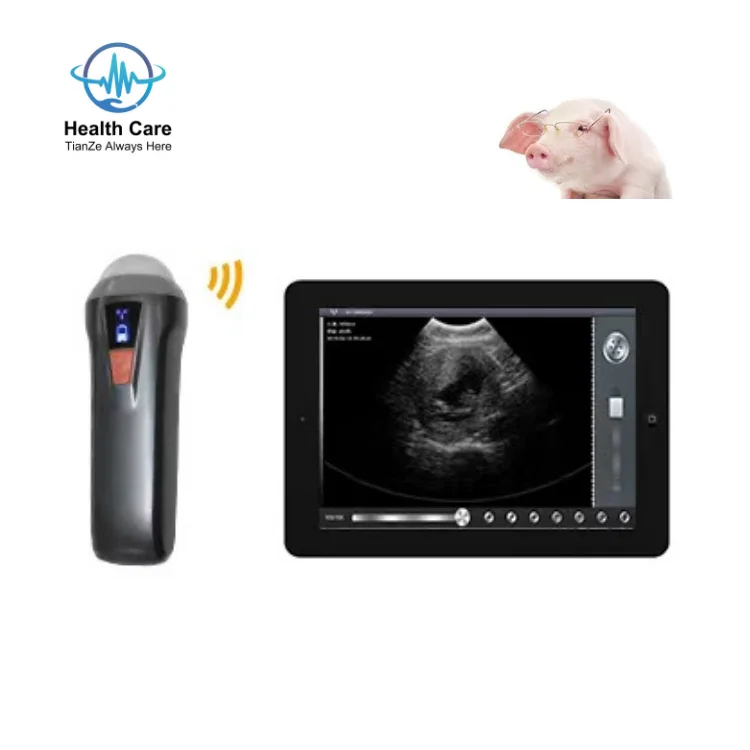 

Pet Dog Pig Sheep Pregnancy Handheld Veterinary Probe Ultrasound Scanner Vet Wireless Mechanical Sector Ultrasonic Probe
