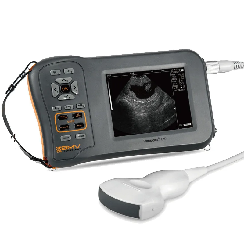 

5.8-Inch large-screen veterinary B-ultrasound L60 sow pregnancy diagnostic instrument with electronic probe