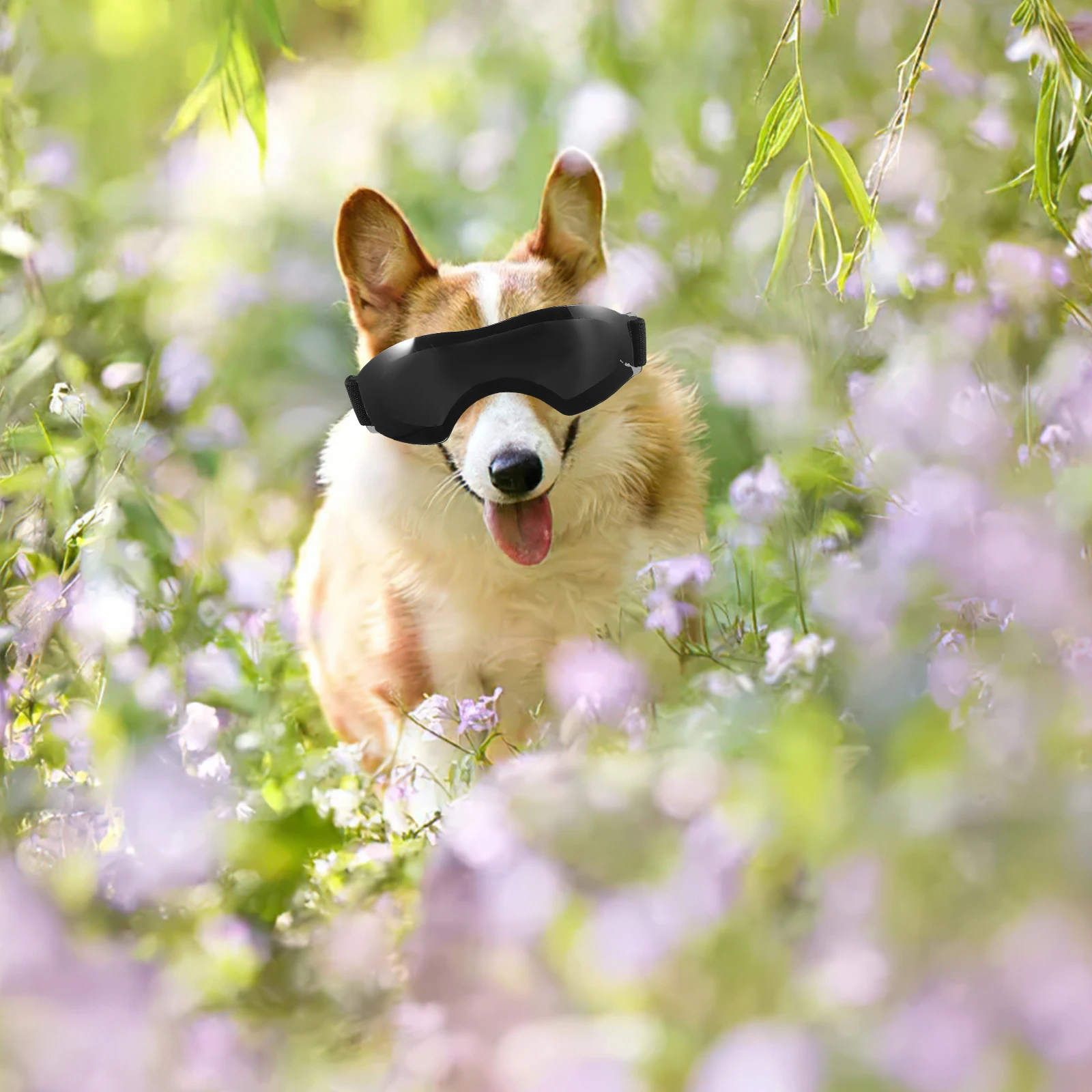 

Pet Sunglasses Dog for Dogs Goggles Small Breed Protective Uv Protection Supplies