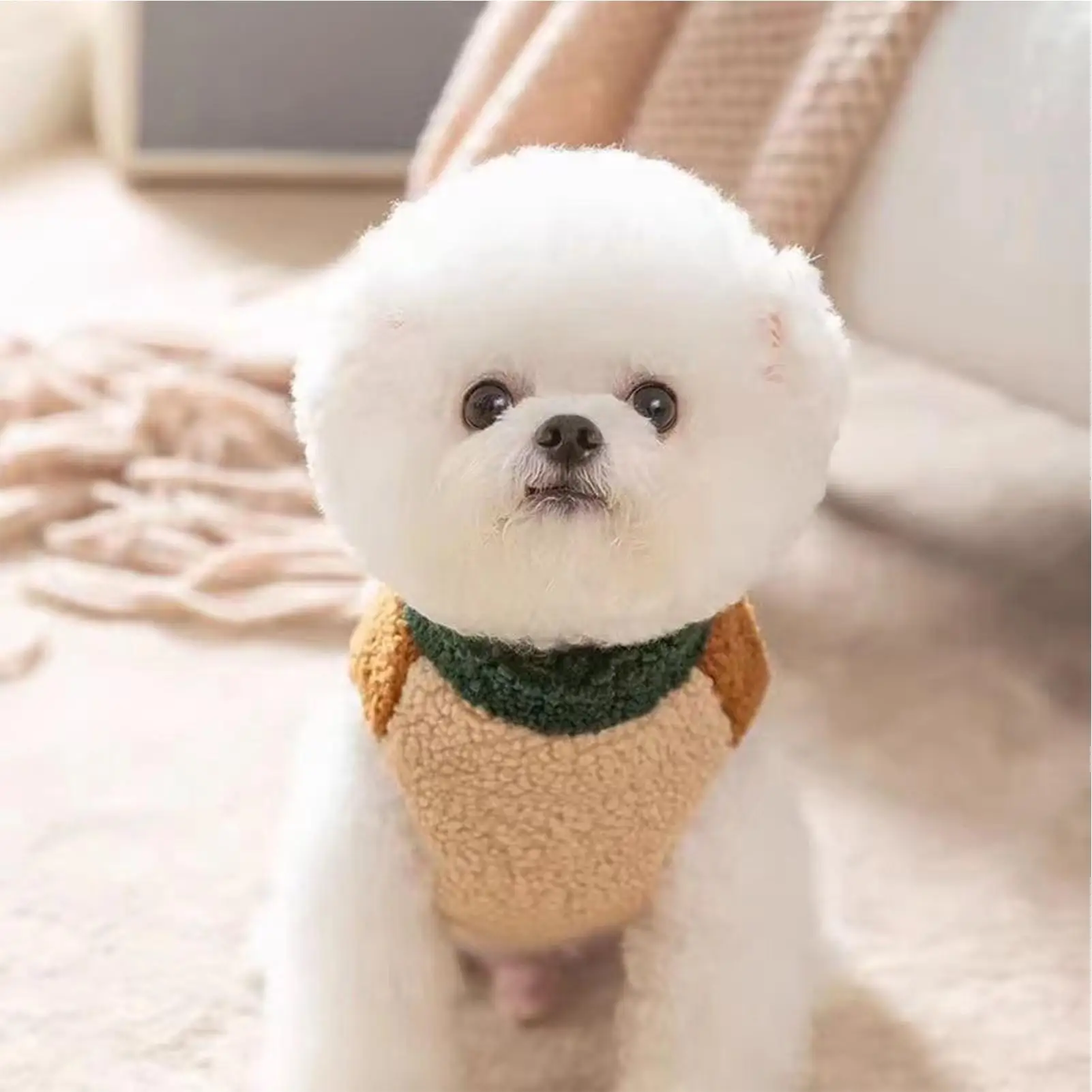 Thumbnail 3 - #30 Compare Dog Jumpers Before You Buy