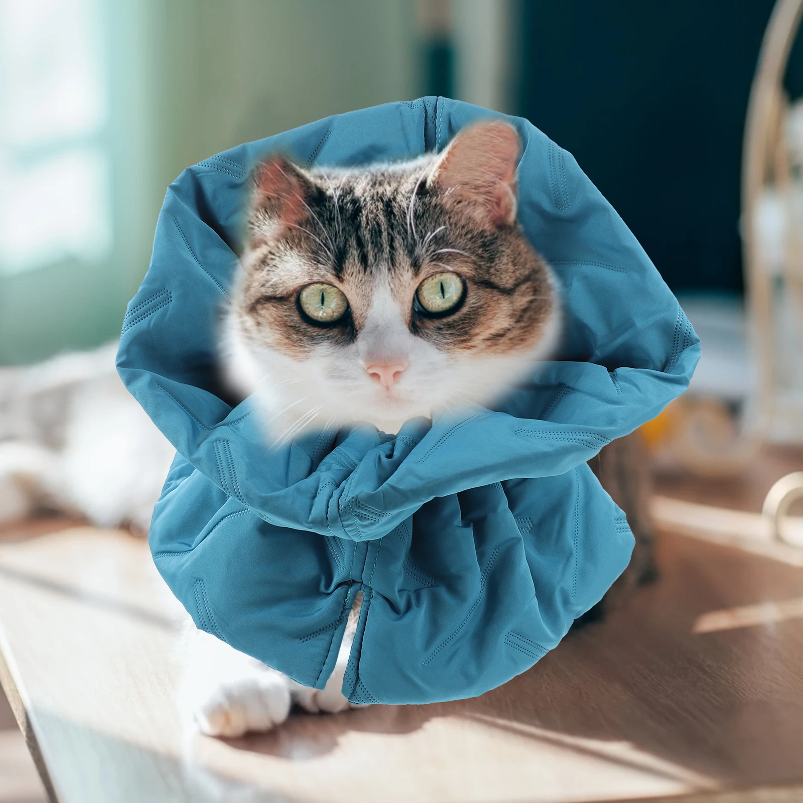 

Polyester Cat Cone Collars Breathable Durable Adjustable No Lick Surgery Recovery Kitten Supplies Comfortable Pet Gifts