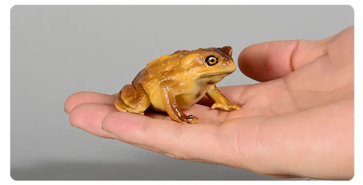 Pädagogische realistische Krötenfrosch-Figur, handbemaltes Wildtier, Insektenfigur, Gummi-Tiermodell, Spielzeug für Kinder – Detail 12