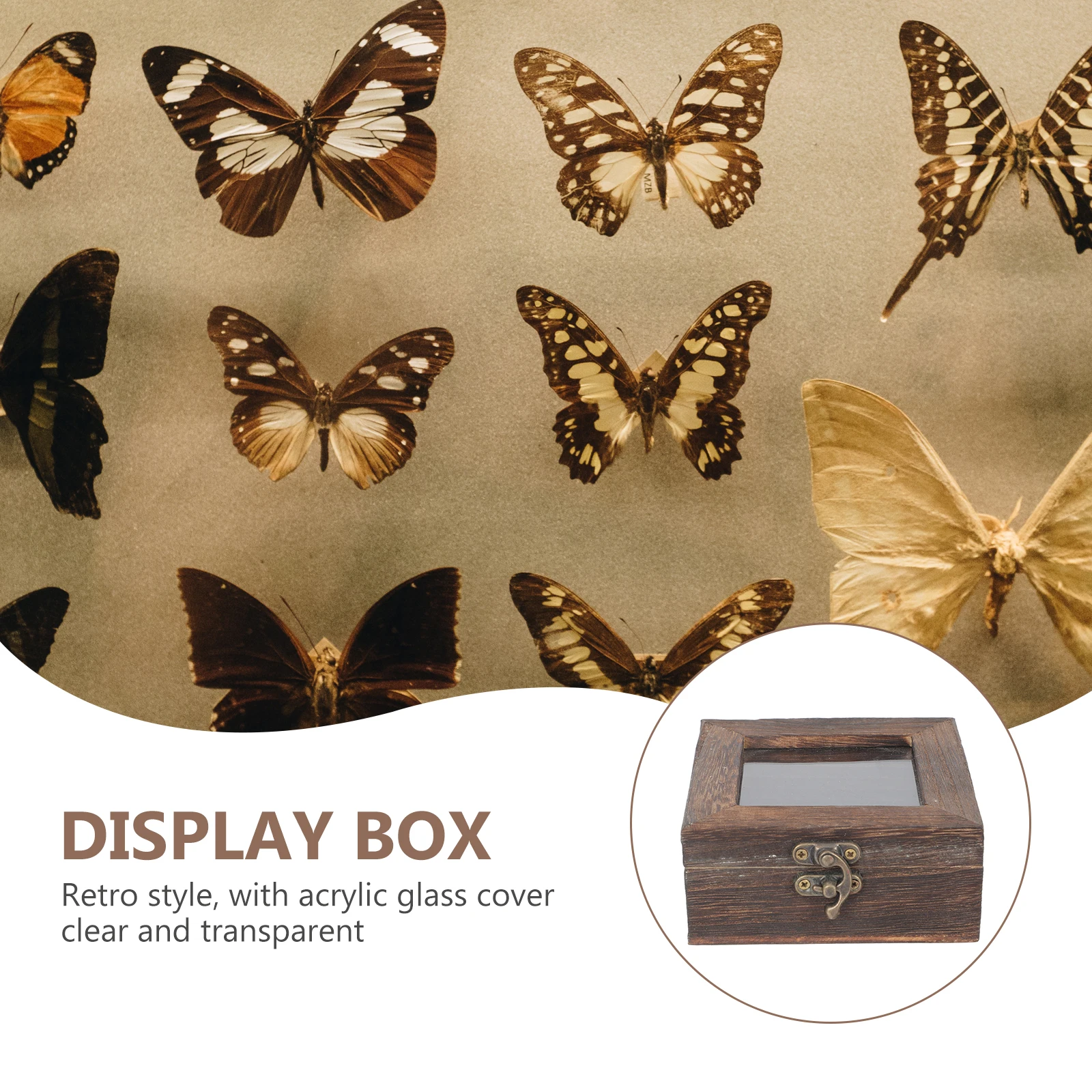 

Butterfly Specimen Box 15x15x4.5cm Carbon Transparent Lid Dustproof Display Case for Jewelry Insect Collectibles Retro