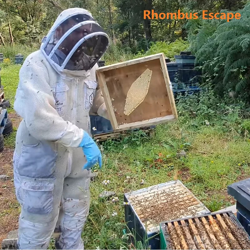 Diamonds Bee Escape Door Rhombus Beehive Nest Door Bee Escape Proof Frame Device Beehive Escape Against Barrier Beekeeping Tools