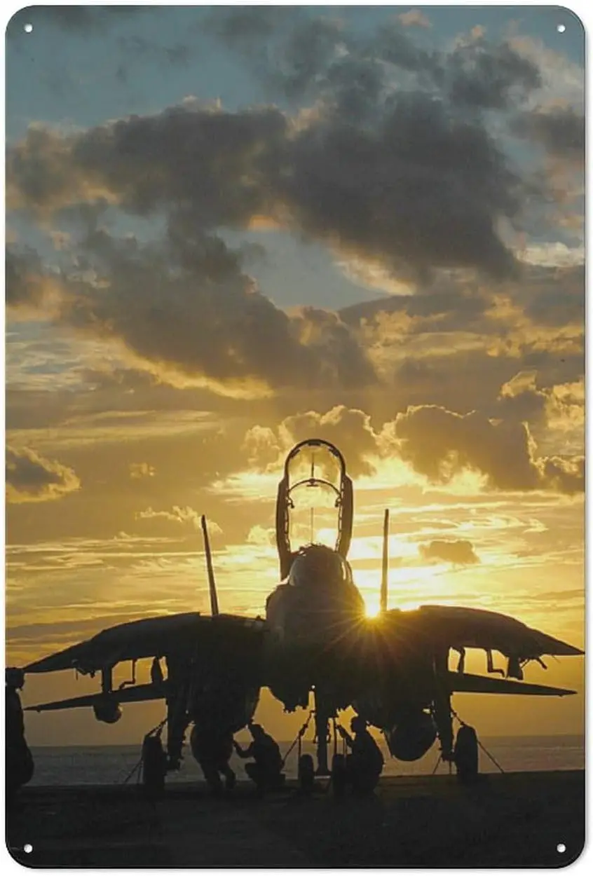 Rucatto F-14 Tomcat Fighter Kunstposter Wanddekoration Metallblechschild Moderne Heimbar Laden Dekorationen Vintage Schild Geschenk