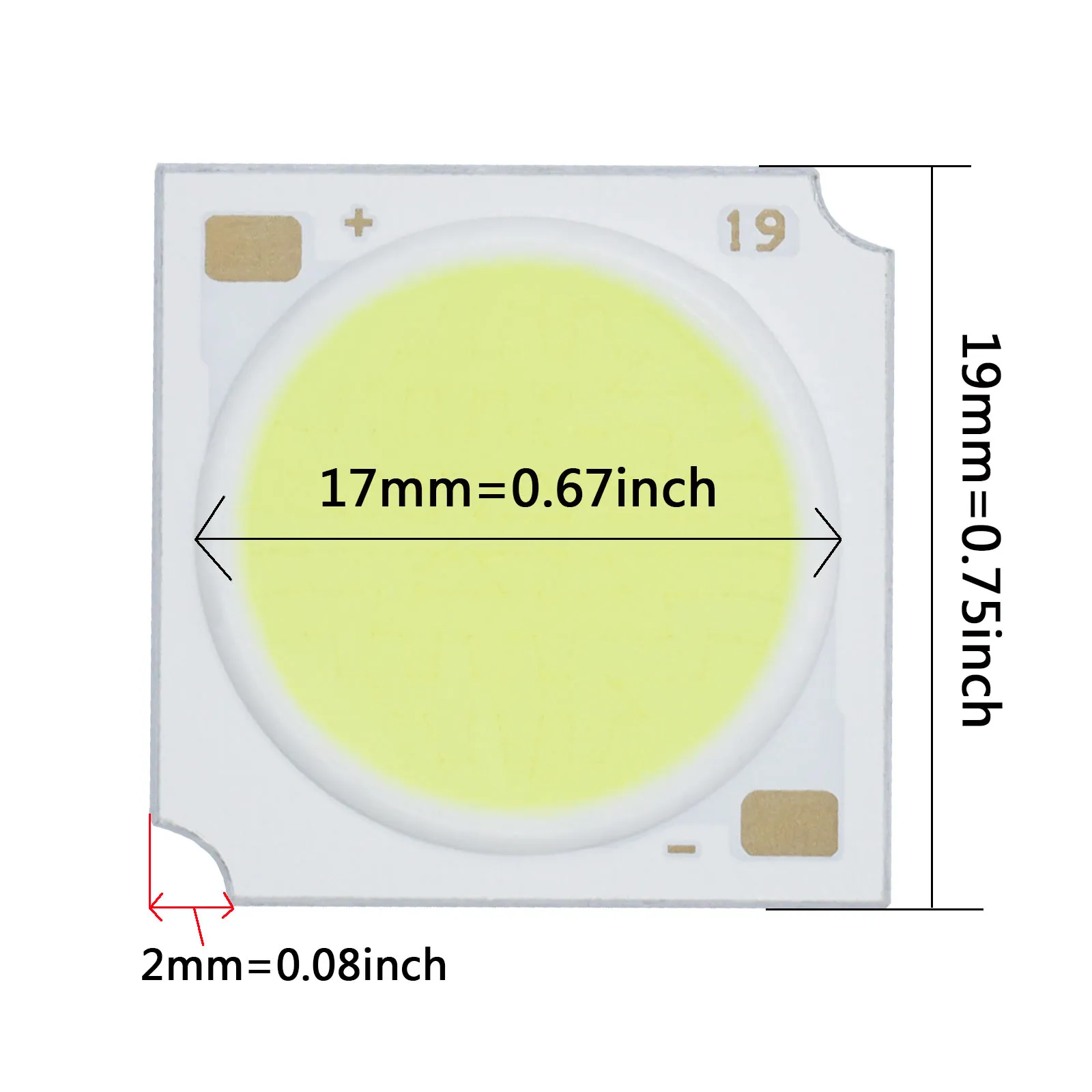 20-36W Vermelho/Verde/Azul/Roxo Ra80 LED COB Contas de Luz 1919 lâmpada LED Bead Lâmpada LED Bridgelux Chip Spot Downlight Diodo Lâmpada