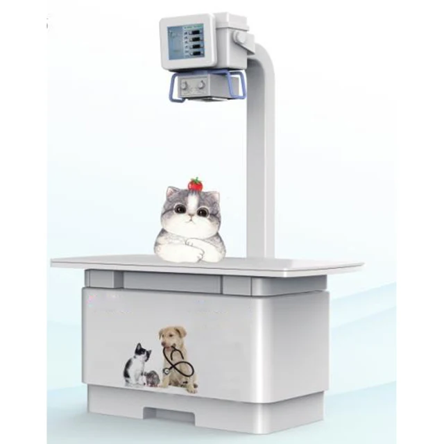 OEM/ODM Manufacture Price Digital Vet Animal Use Radiography X-ray System with Flat Panel Detector for  Examination