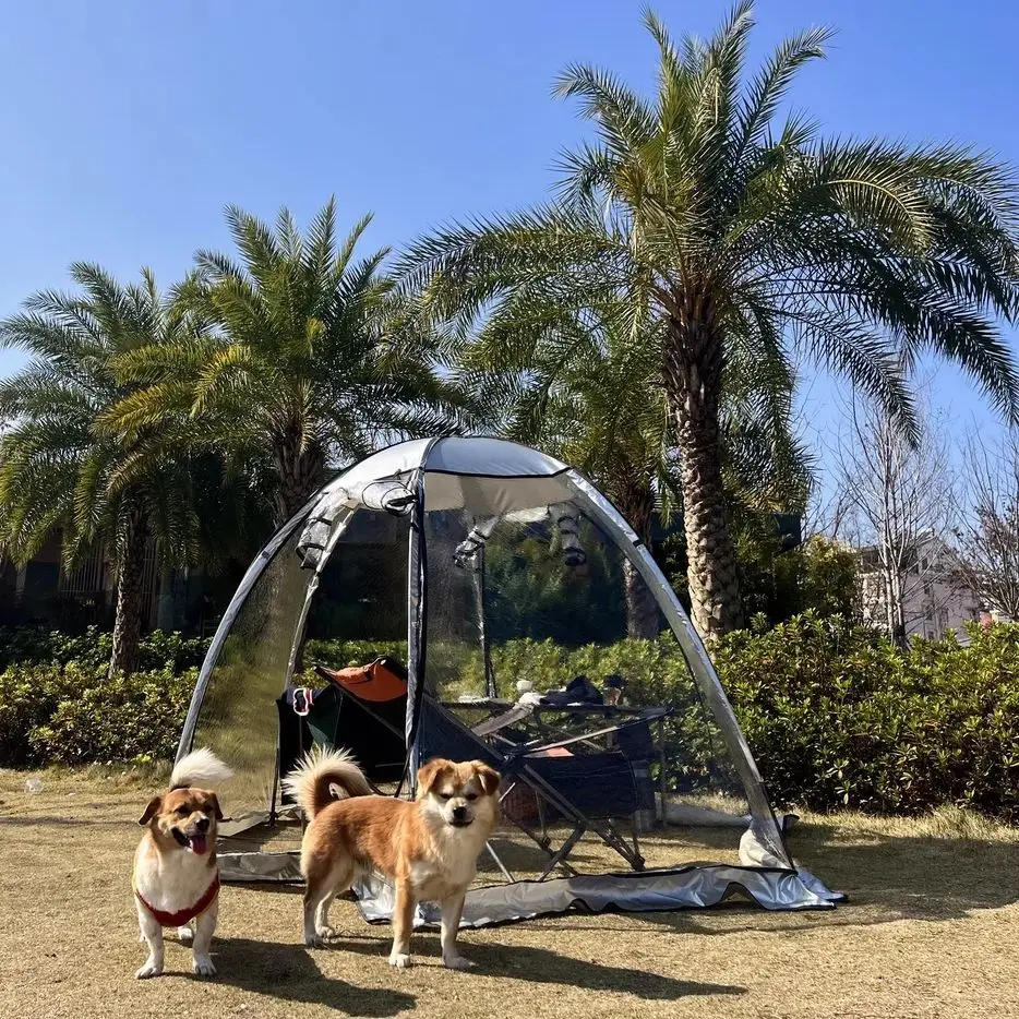 

Прозрачная кемпинговая палатка-шатер, простая в установке, портативная садовая палатка-иглу для кемпинга, вечеринок и наблюдения за звездами