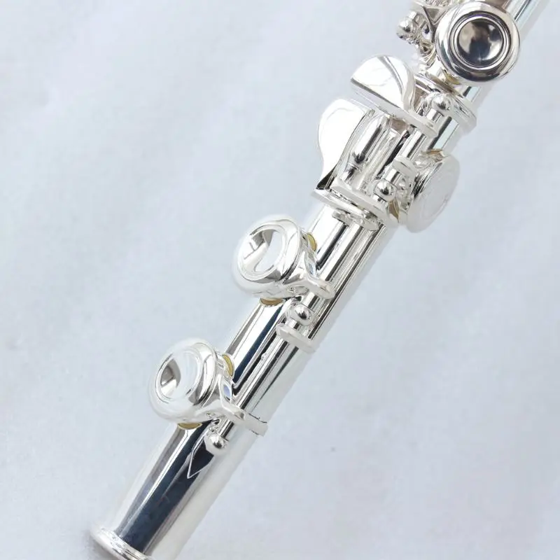FPC-300S Professional Ebony Piccolo High End Silver Plate Finish C Tone Performance Instrument Piccolo With Wooden Case