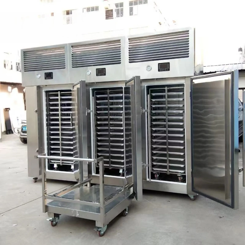 Customized Industrial Large Capacity Shock Fast Quick Freezing IQF Plate Blast Freezer Machine for Seafood Meat Fast Freezing