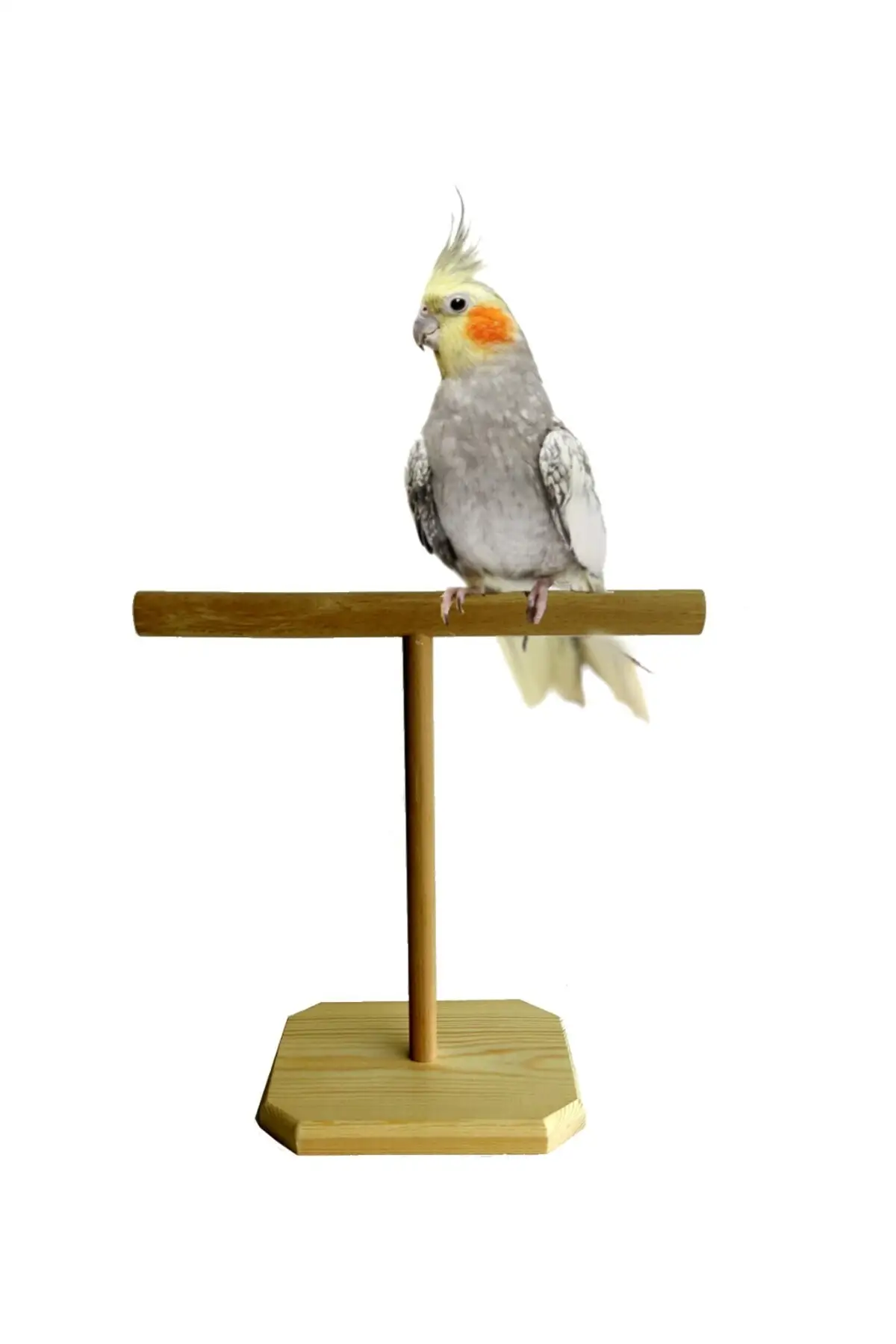 Wooden Parrot Perch T Perch