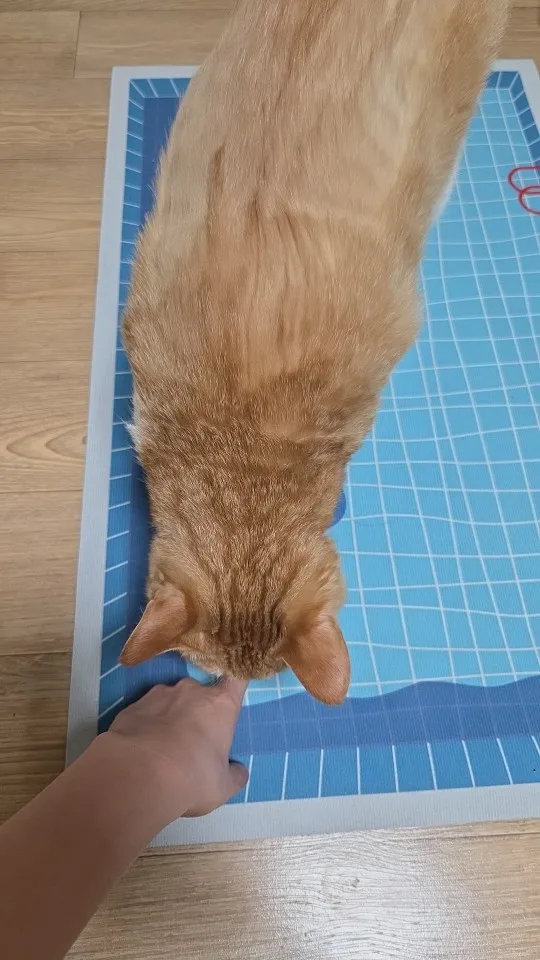 구매후기