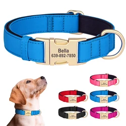 Anti-lost Personalized Dog Collar Waterproof Dogs Buckle Collars Soft Padded ID Necklace for Small Medium Large Dogs 5 Colors