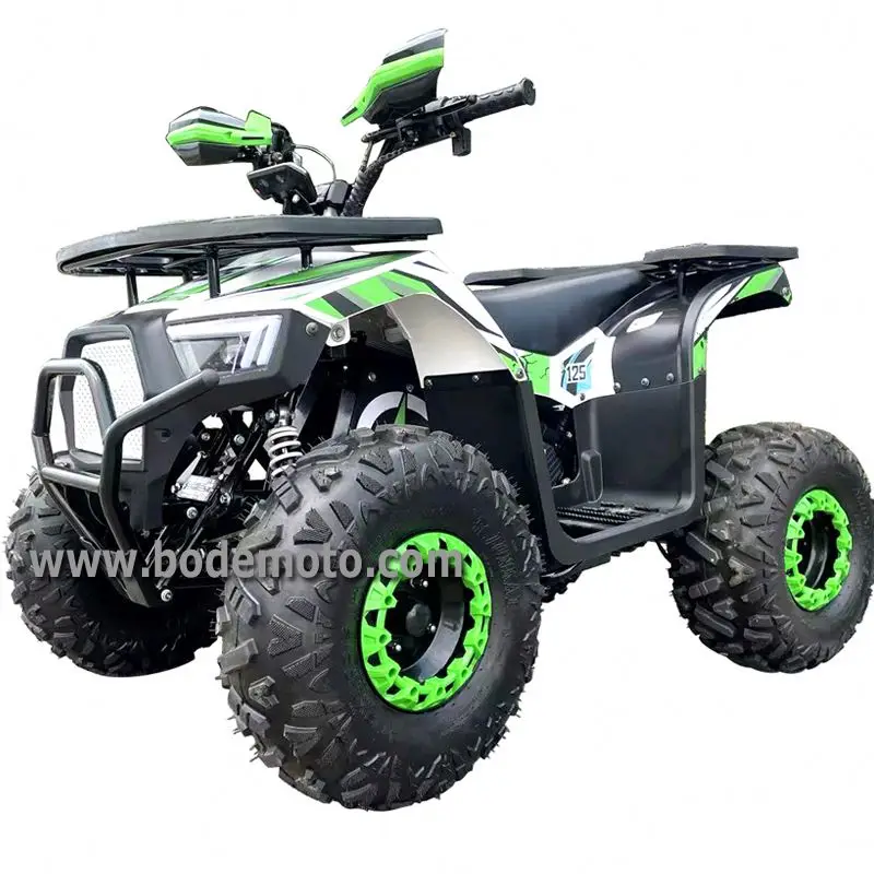 Electric Atvs Atv Electric Off-road 2000W Electric Quad Bike ATVS Vehicles