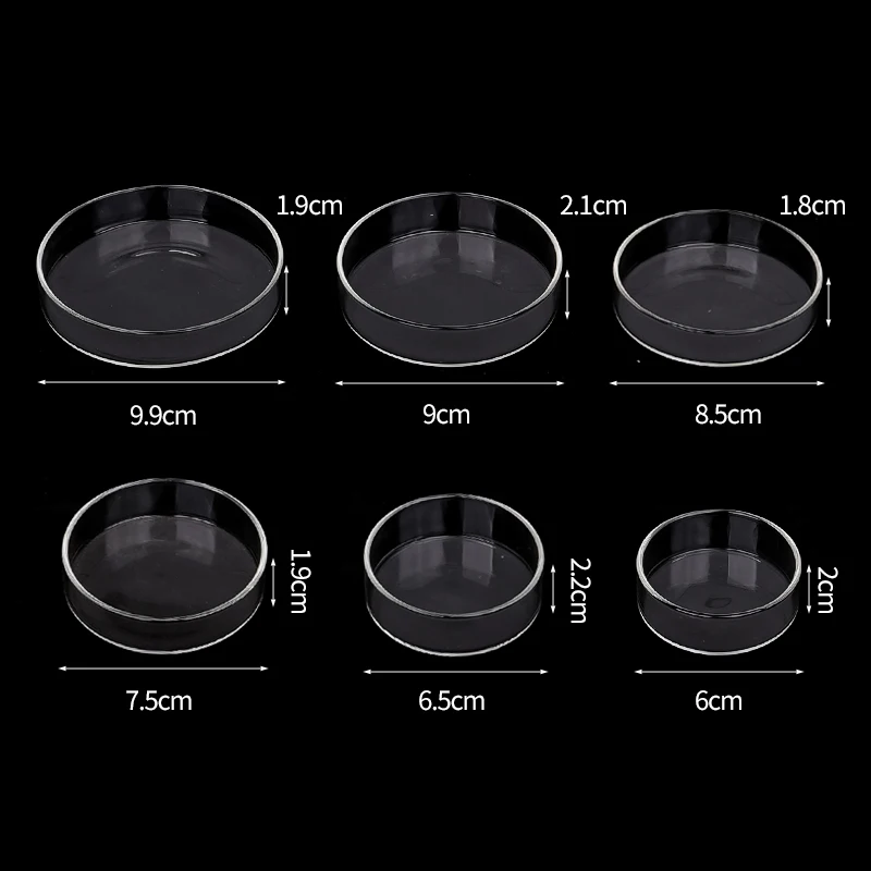Shrimp Feeding Dish High Transparent Glass Feeding Dish Fish for Tank Clear Feeder Bowl Aquarium Fish Tank Reptiles Feeder