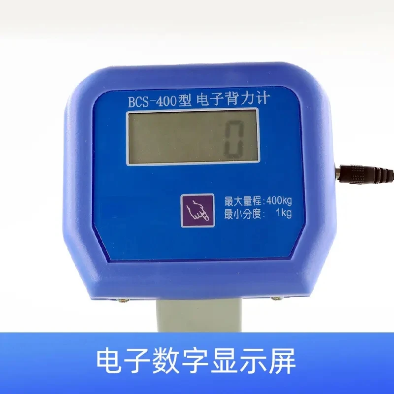 Evaluation of Back and Lumbar Muscle Function and Physical Fitness Testing Rehabilitation with Electronic Backforce Meter