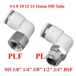 PL PLF M5 1/8