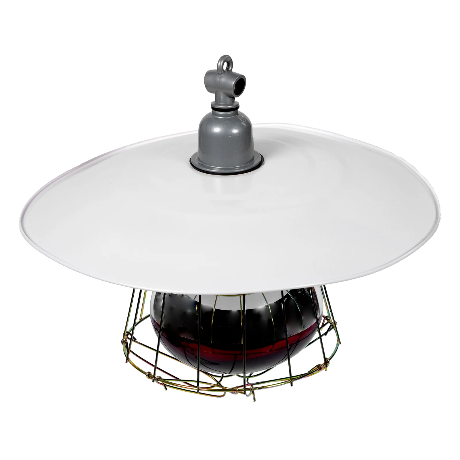 Thumbnail 2 - #25 Trending Small Animal Supplies Right Now