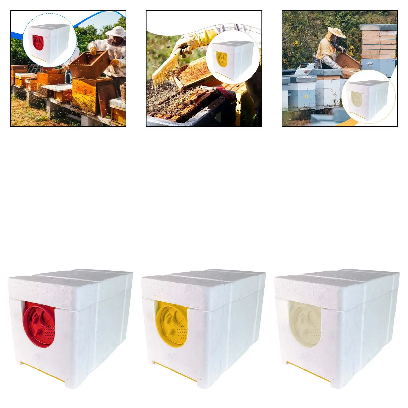 Beekeeping Box Kit with Rotating Entrance Polyfoam Bee Mating Nuc Hive for Raising Queens and Pollinators Beekeeping Box Kit with Rotating Entrance Polyfoam Bee Mating Nuc Hive for Raising Queens and Pollinators