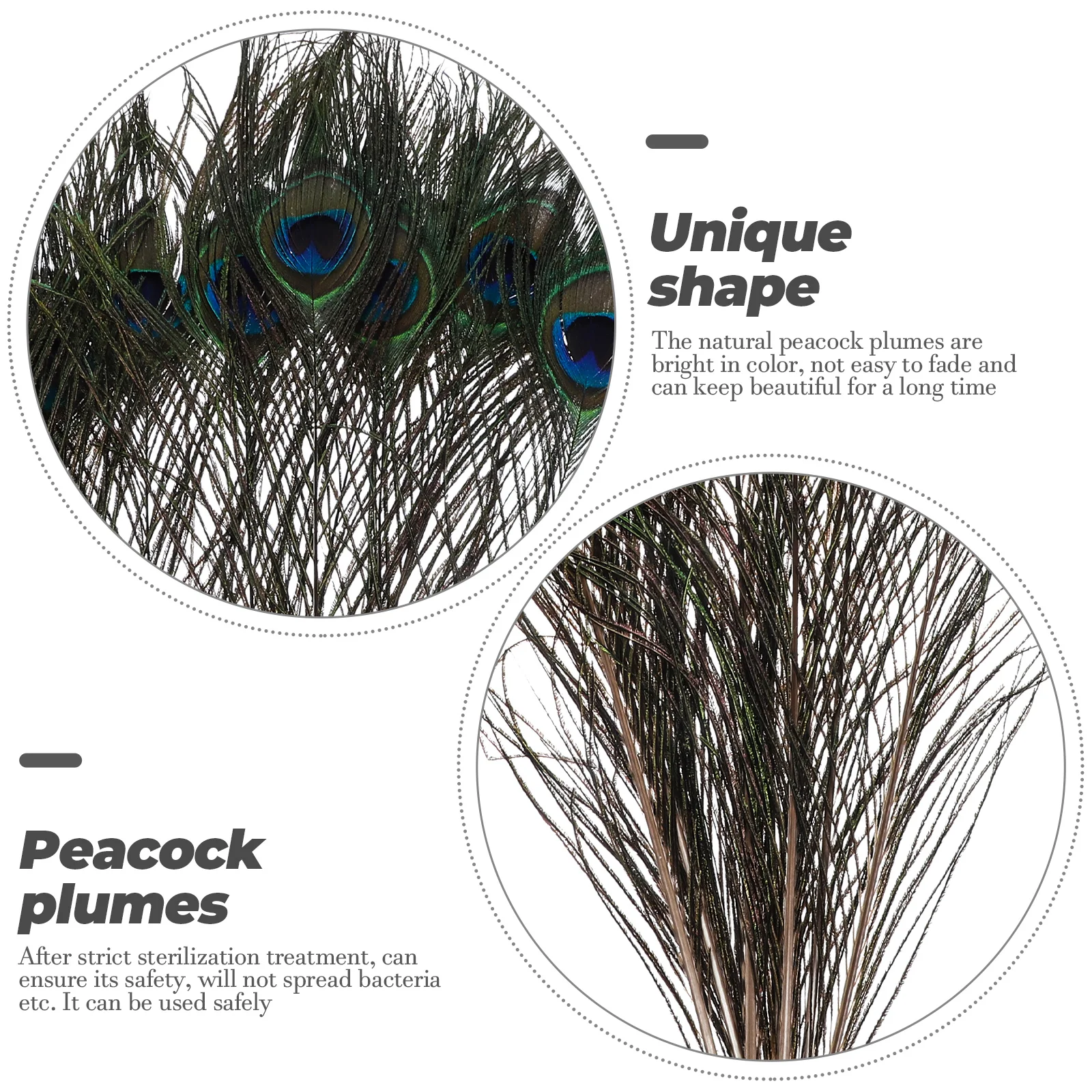 

10Pcs Natural Peacock Plumes Decorative Craft Plumes For Vase Floral Arrangements Party Decor