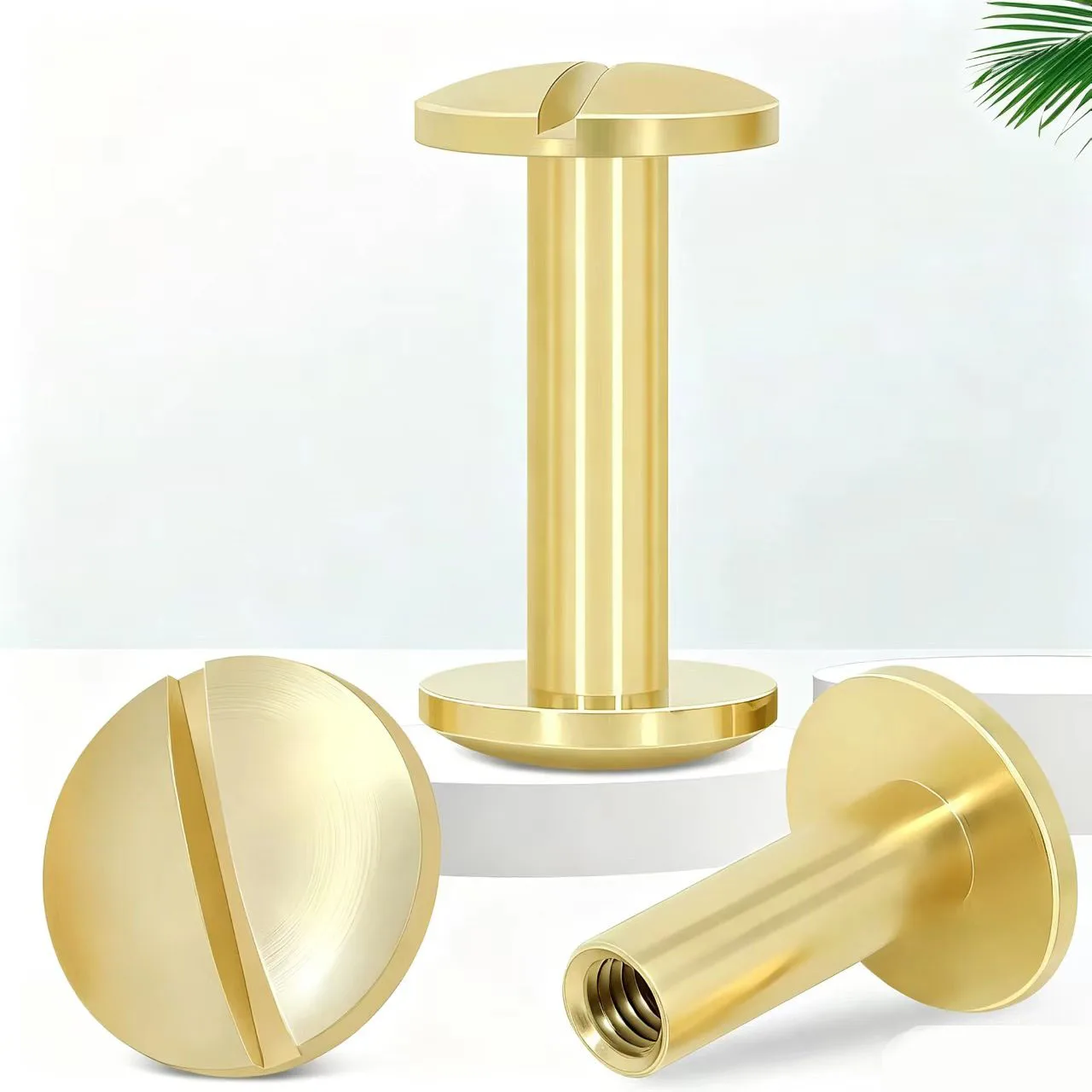 M4 Brass Chicago Screws 10 Sets Double Head Binding Rivet Studs DIY Hardware for Leather Belt Wallet Photo Album Craft