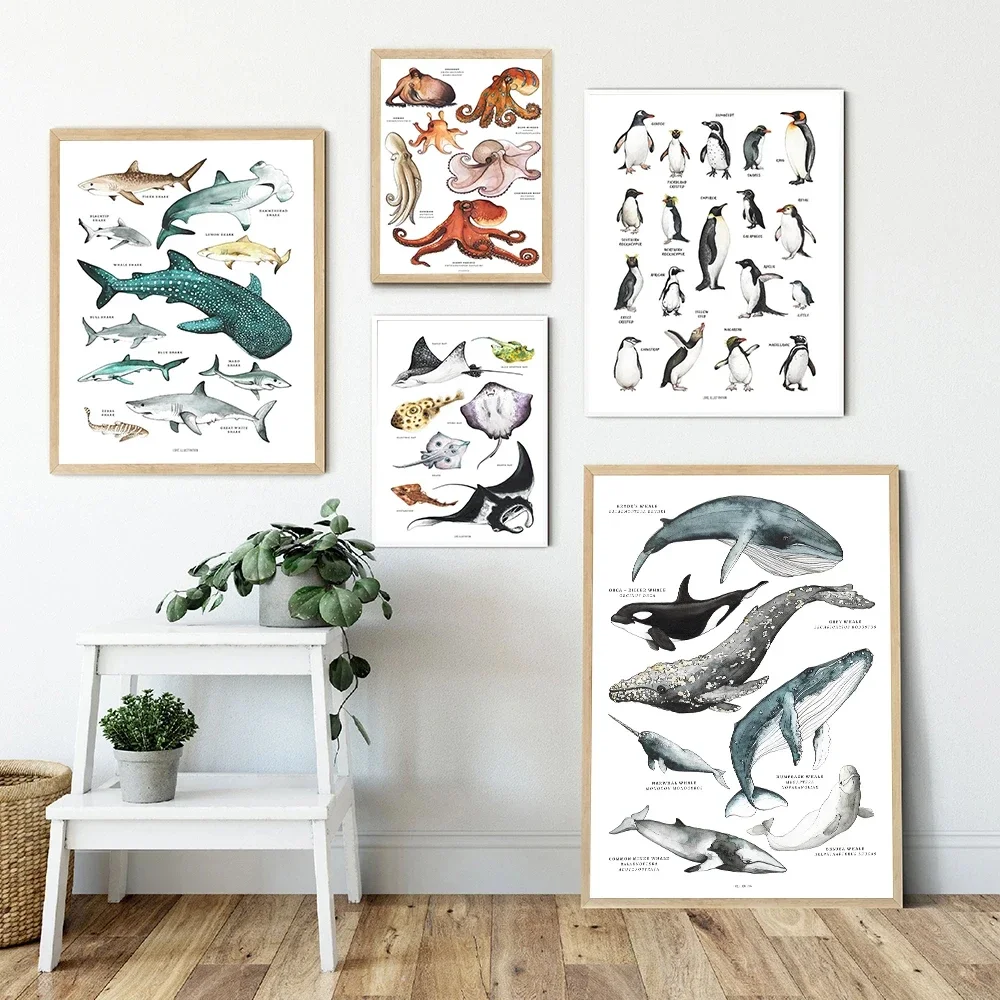 Canvas Painting Wall Art Print Child Poster Rays Octopus Whale Shark Marine Animal Nursery Education Picture Baby Kid Room Decor