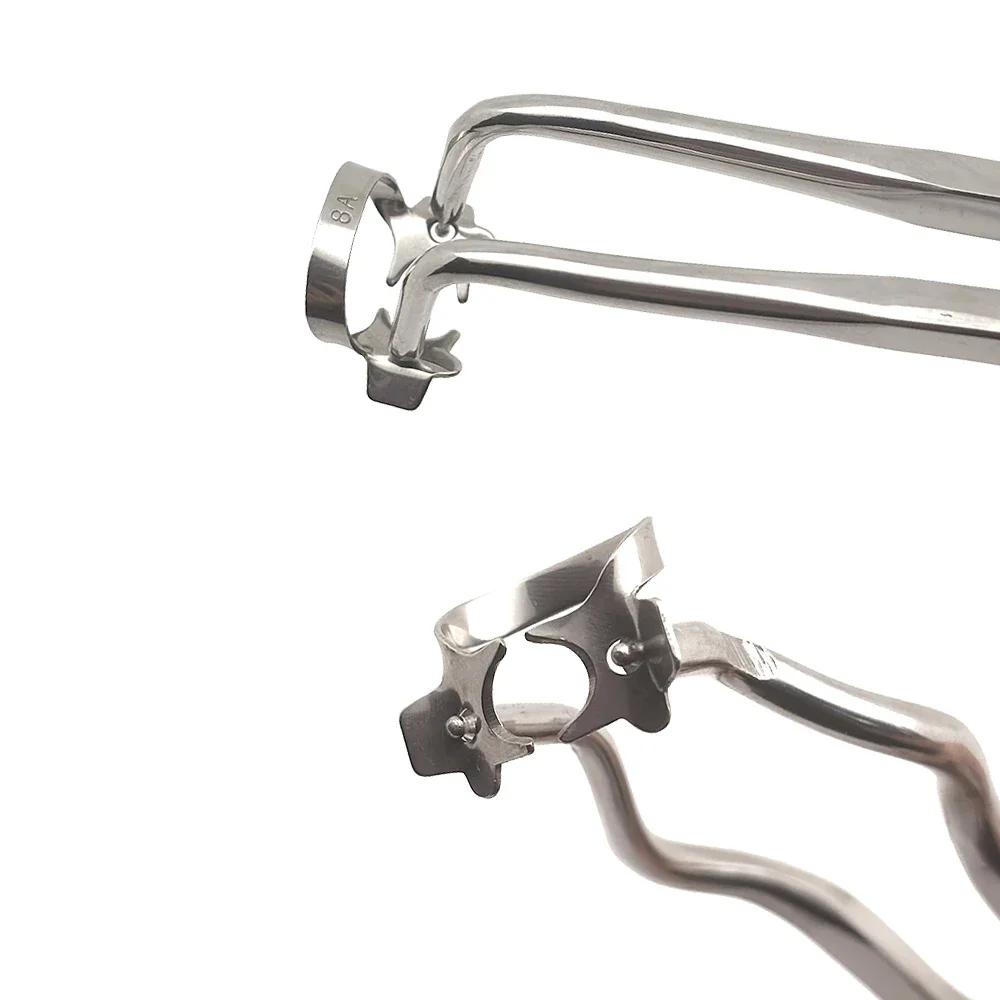 الأسنان المطاط السد المشبك الملقط الفولاذ المقاوم للصدأ ذو طيات لعلاج قناة الجذر اللبية طبيب الأسنان أدوات المهنية